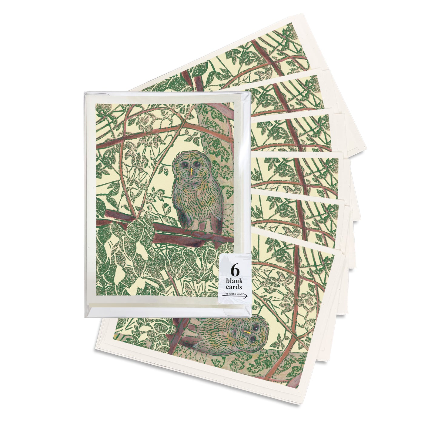 A boxed set of six casually elegant cards featuring Michigan wildlife art by Natalia Wohletz titled Hidden Owl.