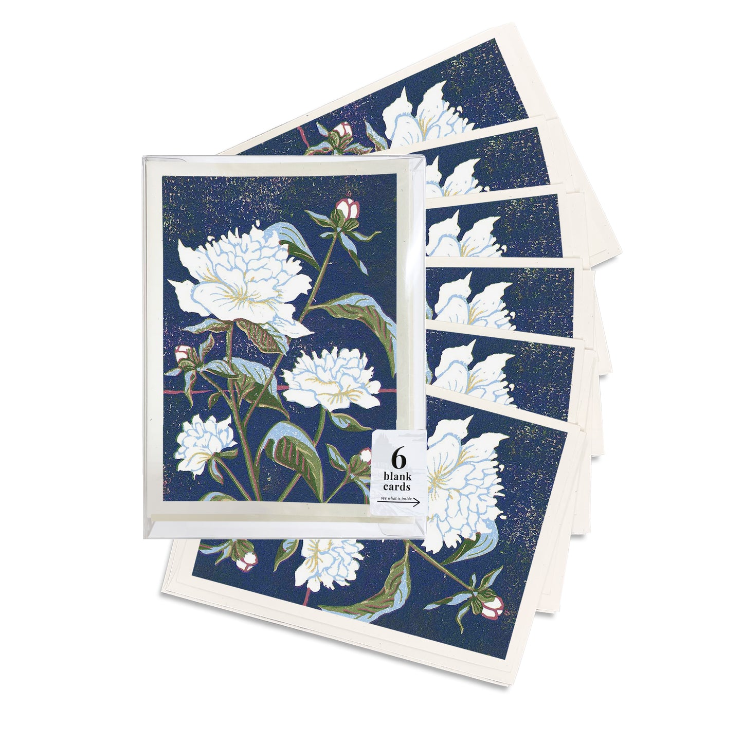 A boxed set of six casually elegant cards featuring floral art by Natalia Wohletz titled Peony.