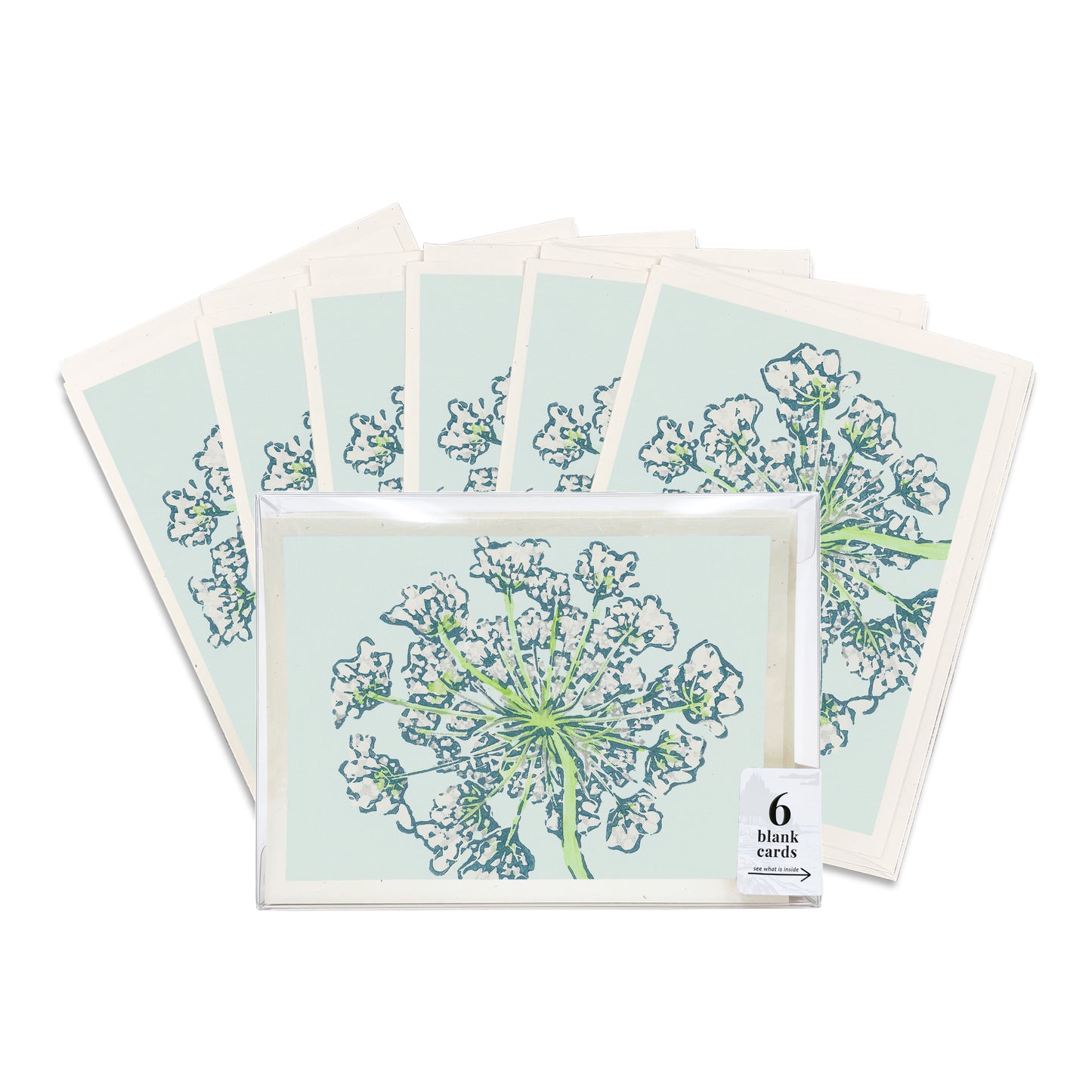 A boxed set of six casually elegant cards featuring Michigan wildflowers art by Natalia Wohletz titled Queen Anne's Lace.