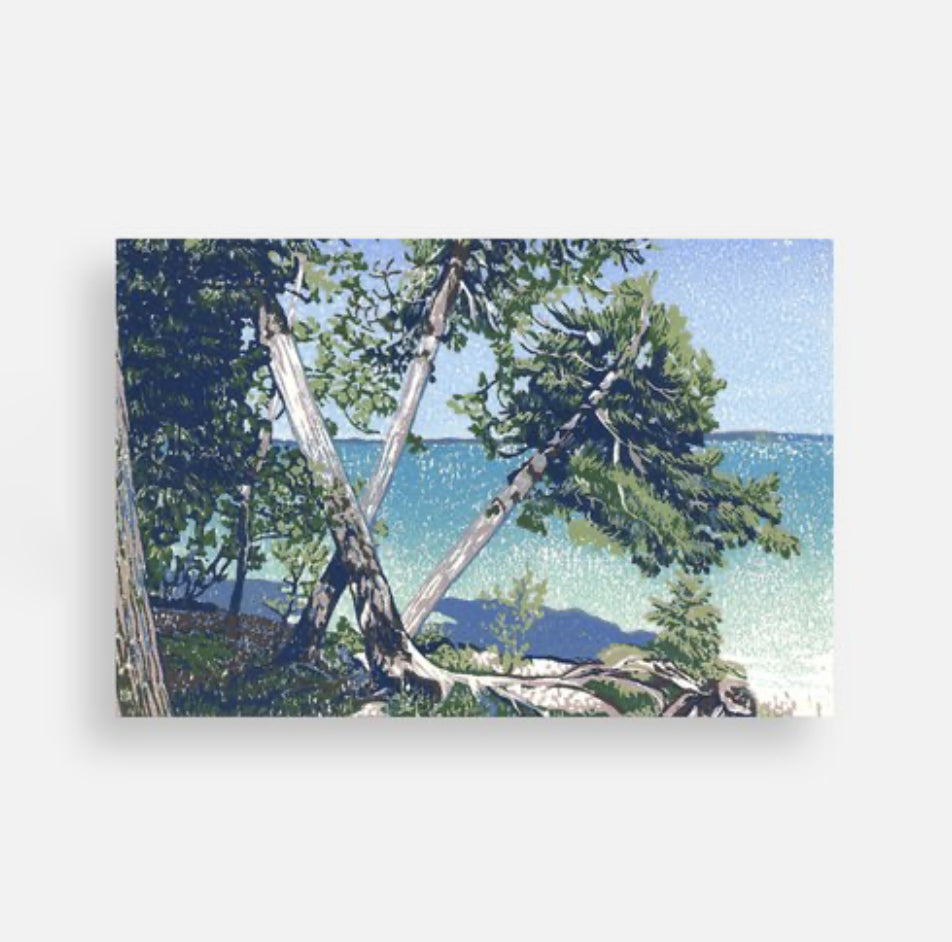 Postcard - Cedar Beach