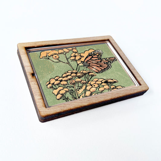 Monarch on Tansy Magnet