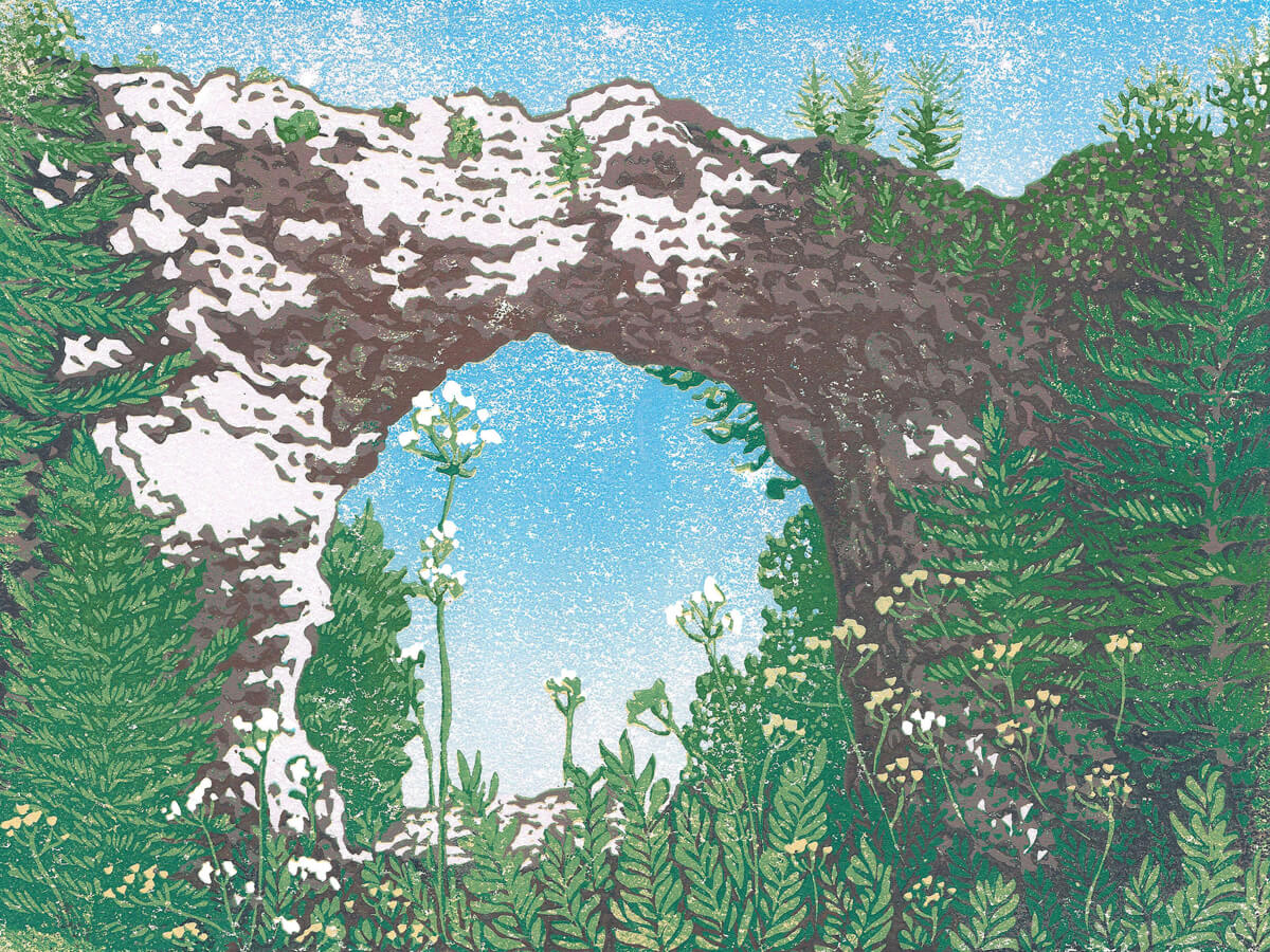 An eight-color 12" x 9" block print titled "Arch Rock" and inspired by the most iconic rock formation on Mackinac Island: Arch Rock. In the summer, Arch Rock is alive with blooming wildflowers, small trees and other greenery.