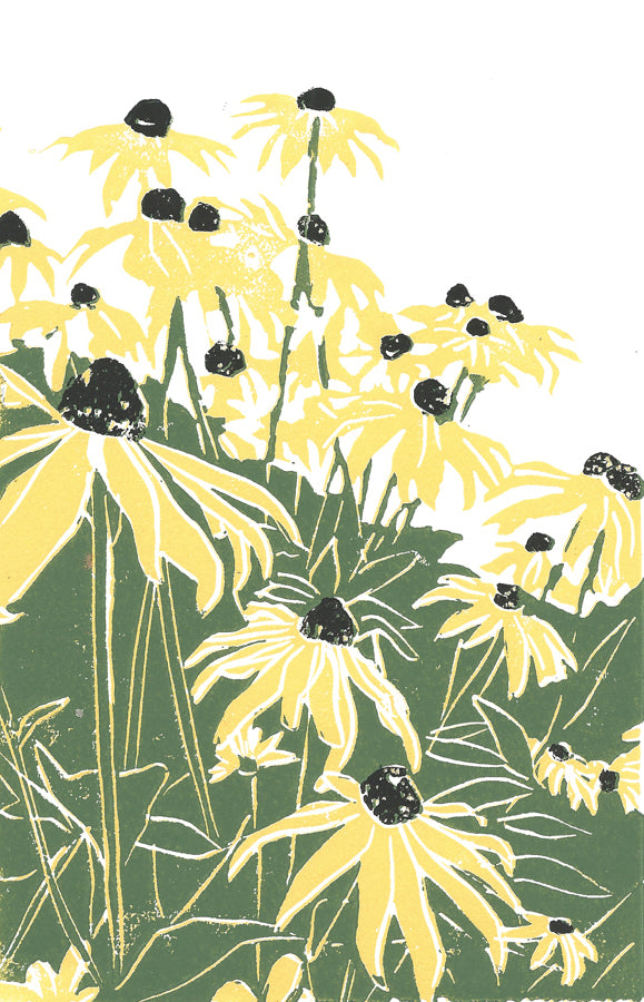 Assorted Mission Point Greeting Card Boxed Set