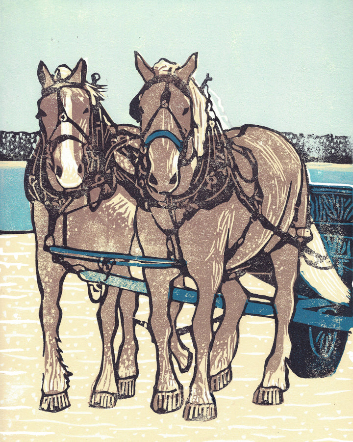 Assorted Mission Point Greeting Card Boxed Set