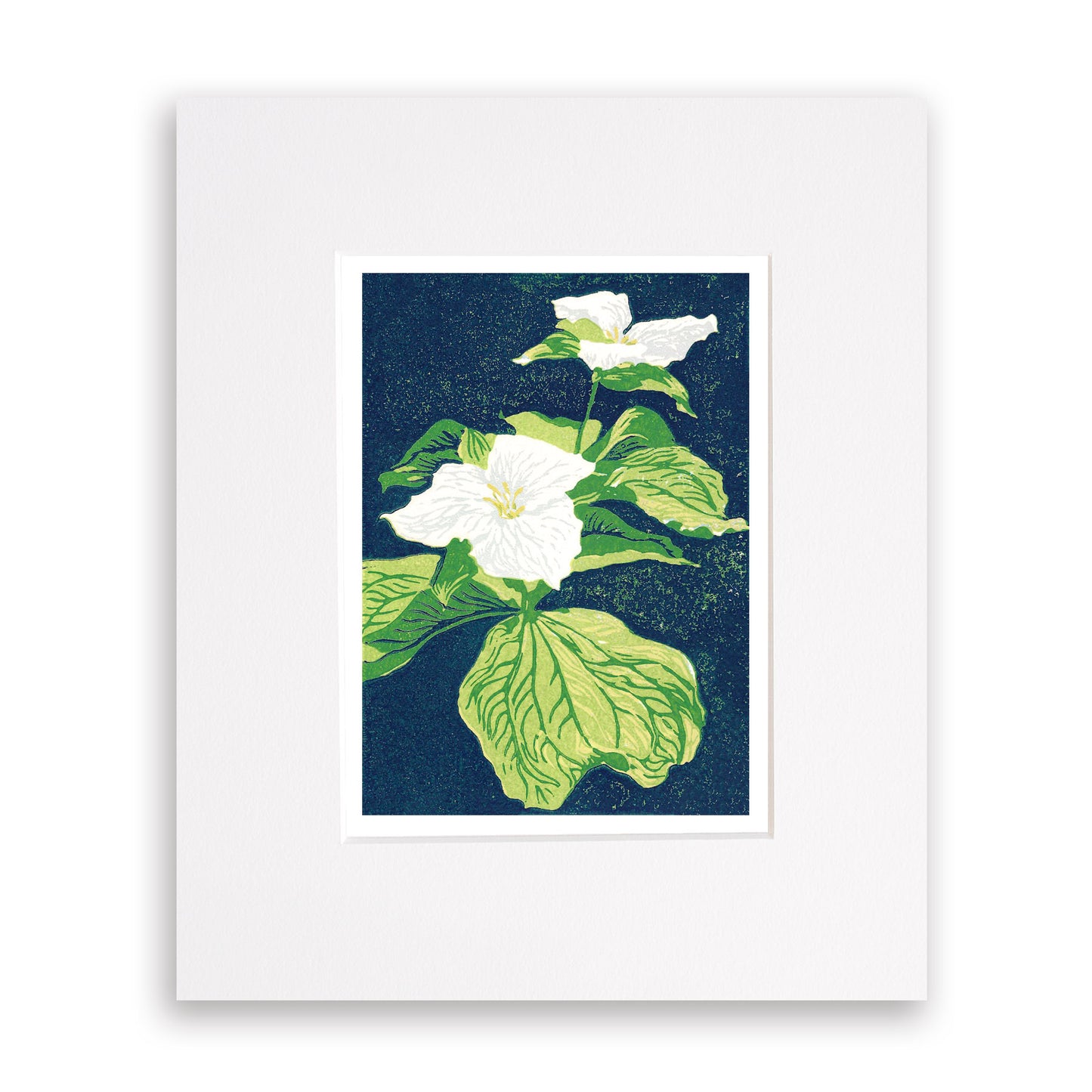 A multicolor block print of two trillium wildflowers with vibrant green leaves and a navy blue background by Peninsula Prints. Matted with white mat.