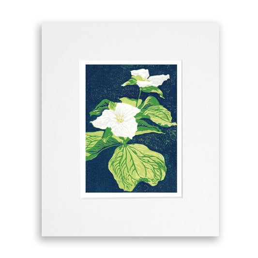 A multicolor block print of two trillium wildflowers with vibrant green leaves and a navy blue background by Peninsula Prints. Matted with white mat.