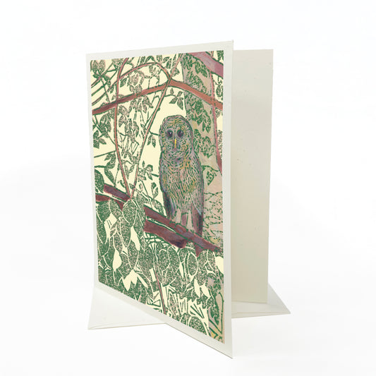 A casually elegant card featuring Michigan wildlife art by Natalia Wohletz titled Hidden Owl.