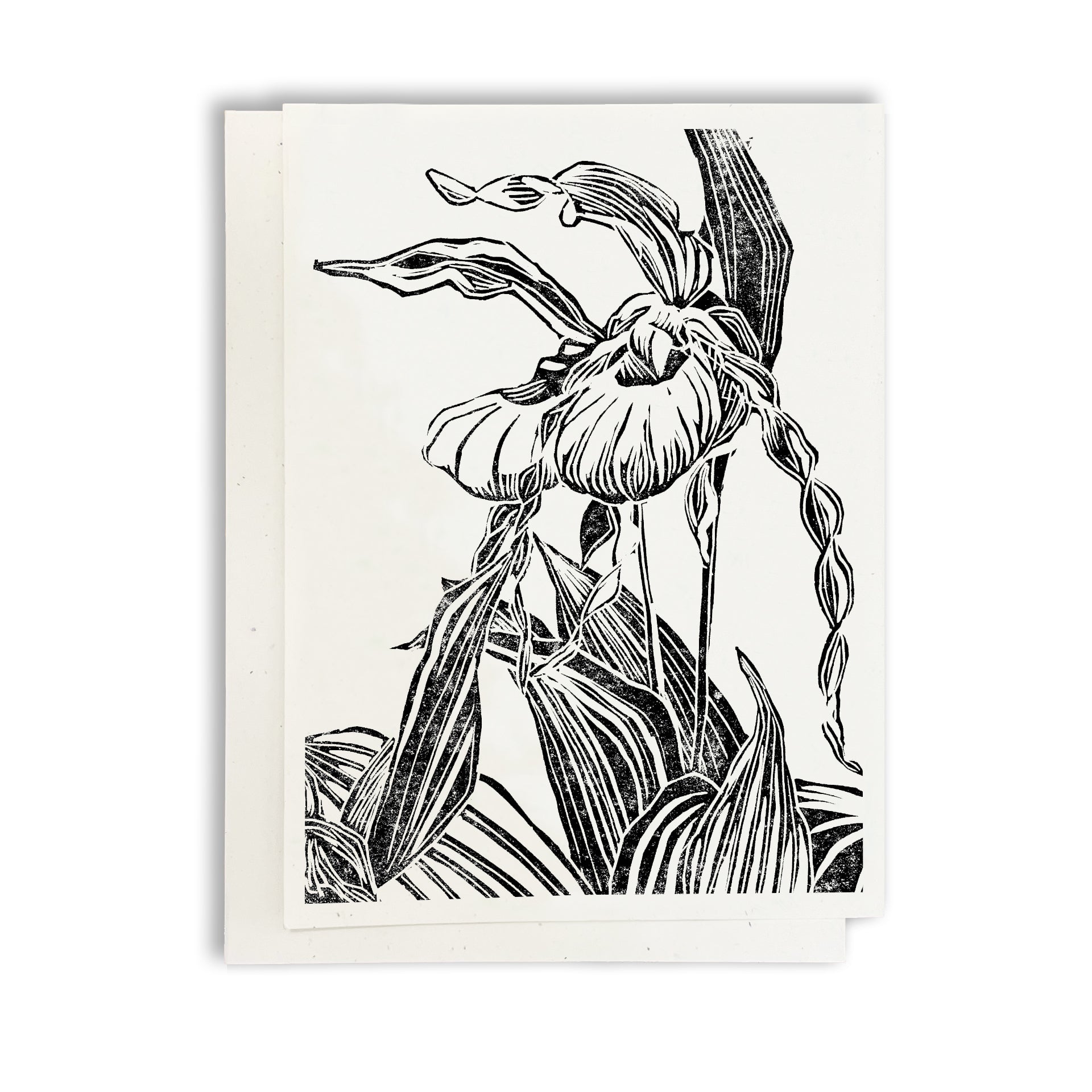 A casually elegant card featuring a digital reproduction of Natalia Wohletz’s block print design: Lady's Slipper Pair.