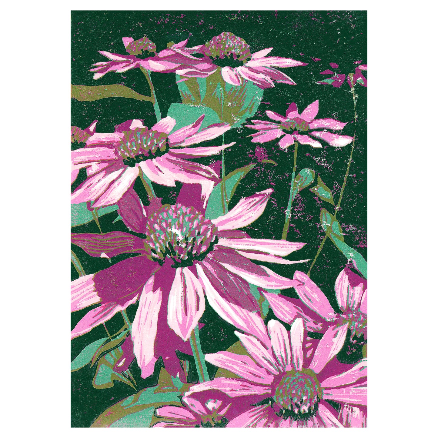 Floral art featuring pink coneflowers by printmaker Natalia Wohletz of Peninsula Prints, Michigan, titled Echinacea.