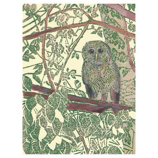 Owl art featuring a Barred Owl by printmaker Natalia Wohletz of Peninsula Prints, Mackinac Island, titled Hidden Owl.