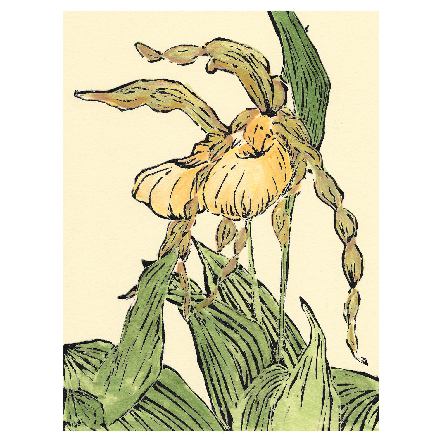 Lady Slipper Pair is a multicolor linoleum block print of one of Michigan's most delightful native orchid wildflowers by Natalia Wohletz of Peninsula Prints, Milford & Mackinac Island.