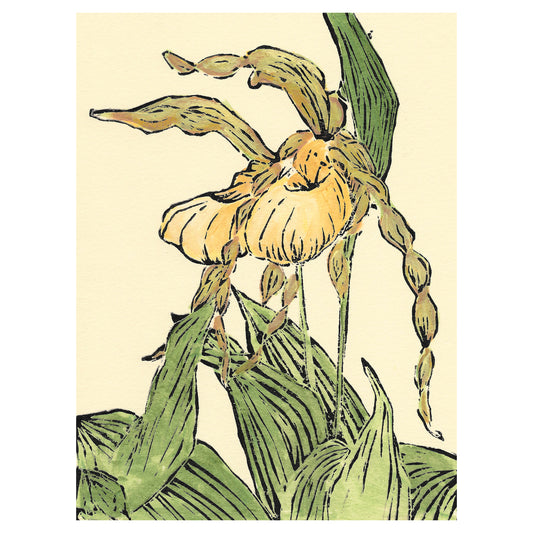 Lady Slipper Pair is a multicolor linoleum block print of one of Michigan's most delightful native orchid wildflowers by Natalia Wohletz of Peninsula Prints, Milford & Mackinac Island.