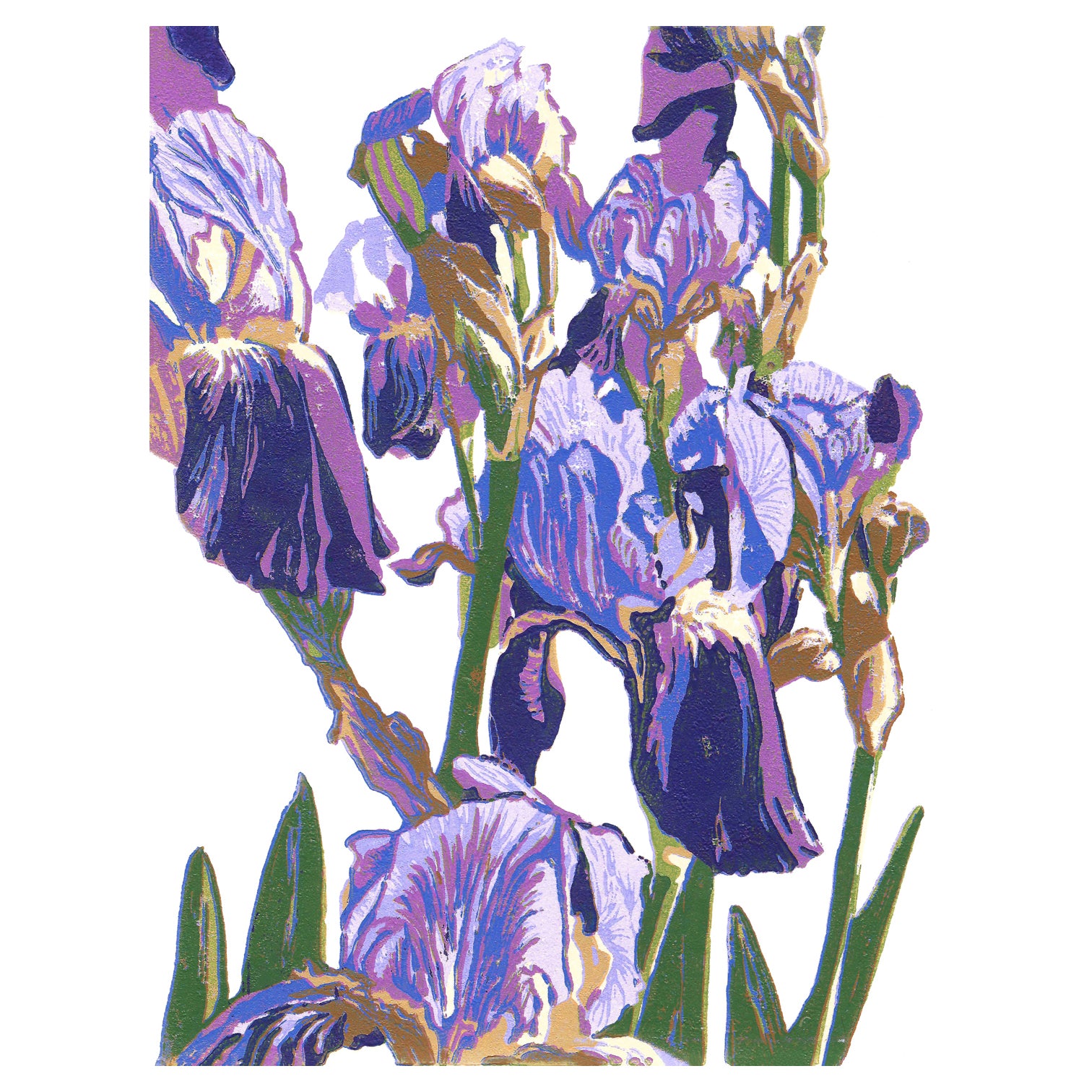 Floral art by Michigan printmaker Natalia Wohletz of Peninsula Prints in Milford and Mackinac Island titled Purple Irises.