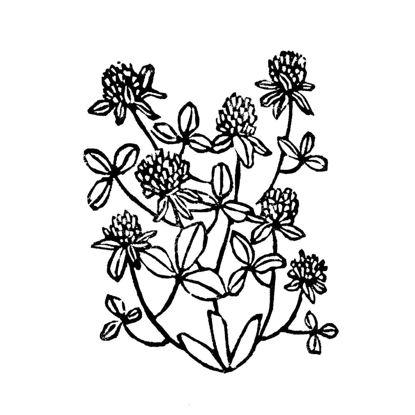 Red Clover art. Michigan Wildflowers Original Block Print Series by Natalia Wohletz of Peninsula Prints, Mackinac Island.