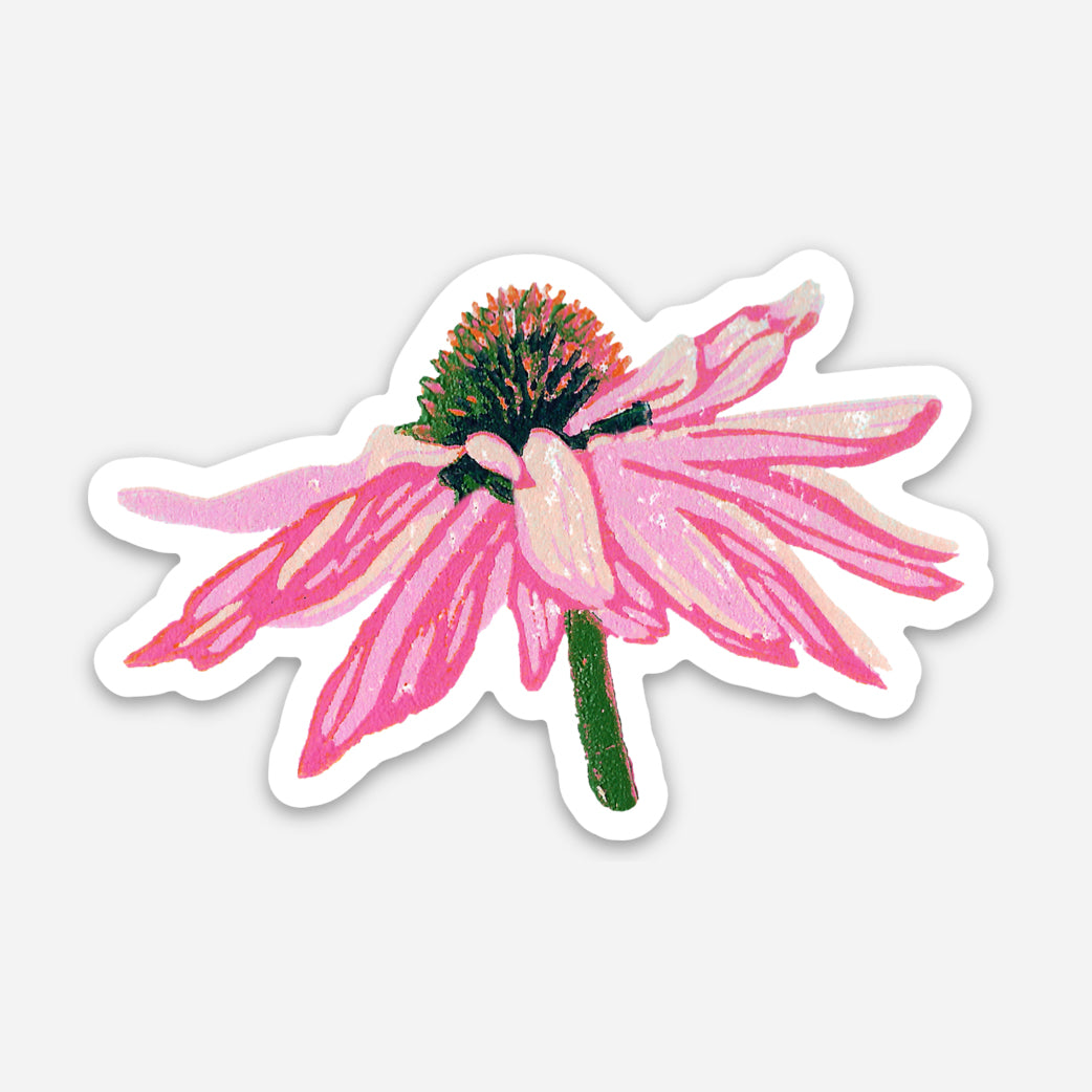 Echinacea Coneflower Vinyl Sticker by Natalia Wohletz of Peninsula Prints.