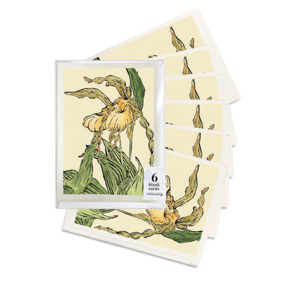 A boxed set of six casually elegant cards featuring Michigan wildflowers art by Natalia Wohletz titled Lady's Slipper Pair #2.