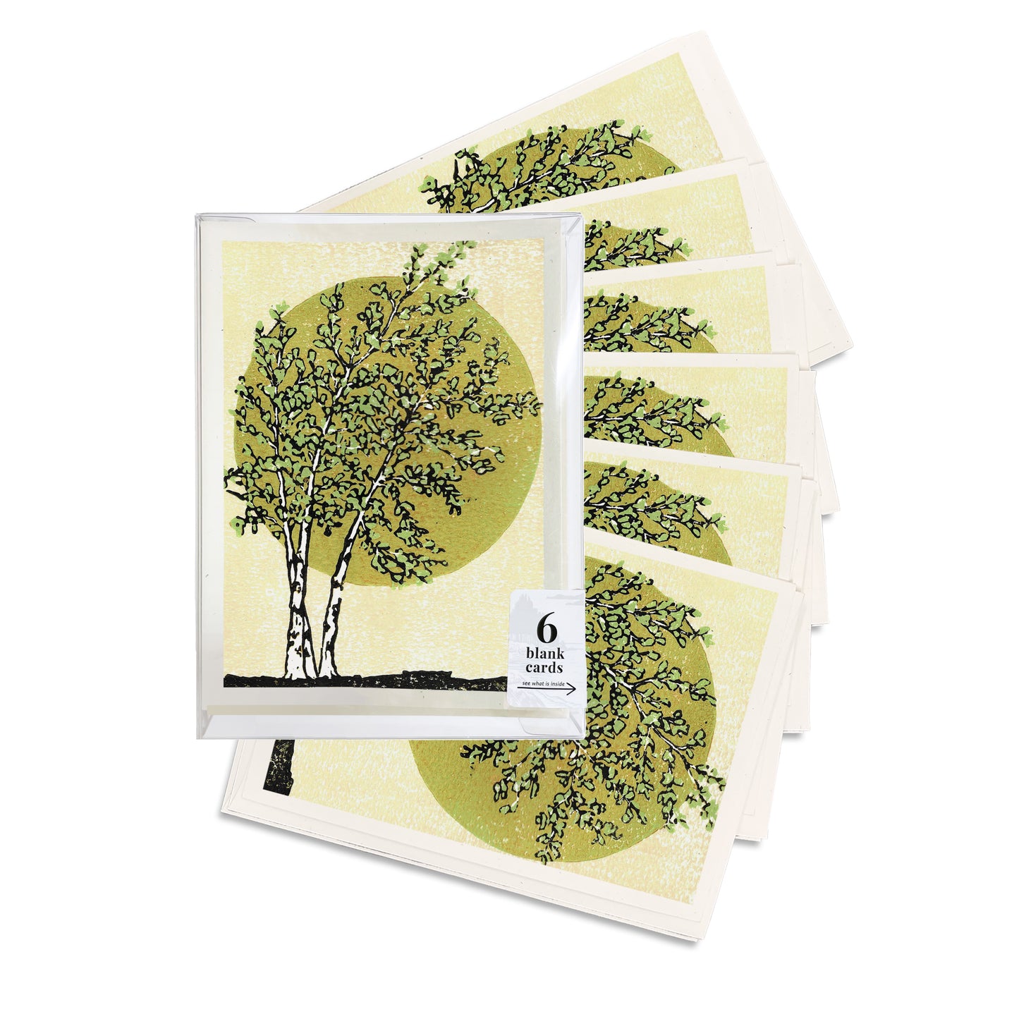 A boxed set of six casually elegant cards featuring birch tree art by Natalia Wohletz titled Radiant Birches.