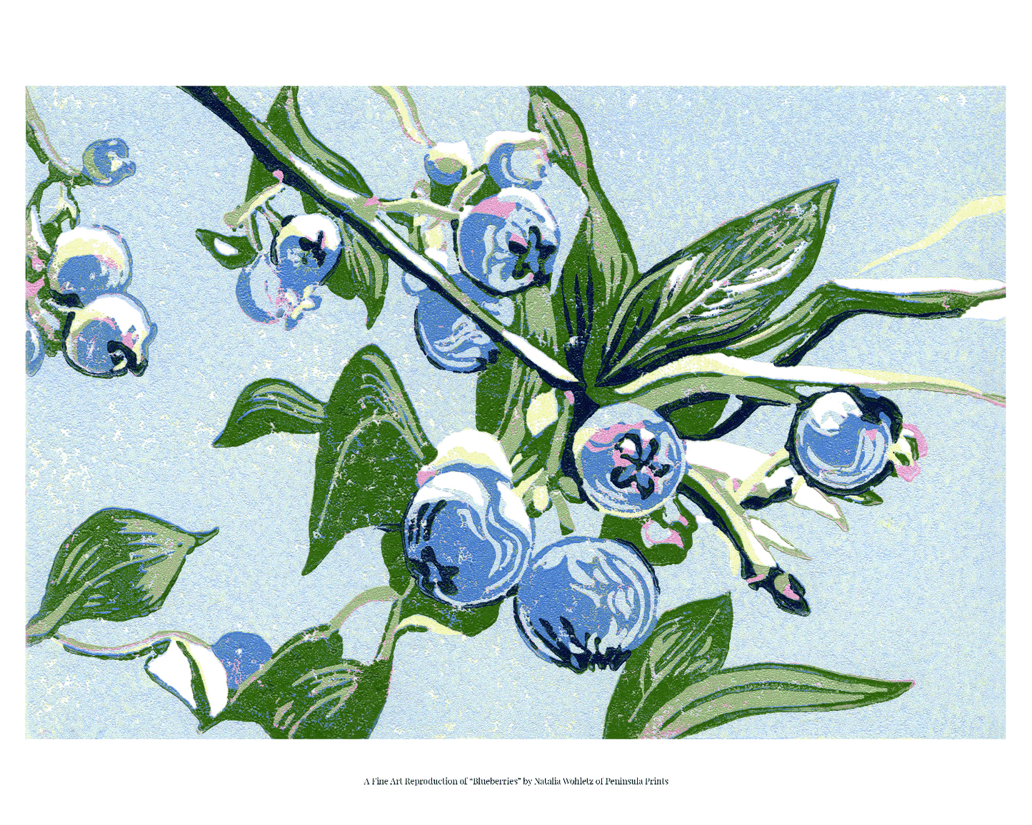 A fine art reproduction of "Blueberries," a miniature 4"x6" seven-color reduction block print of blueberries growing on a leafy blueberry bush branch. They look juicy and sweet, and ripe for the picking!