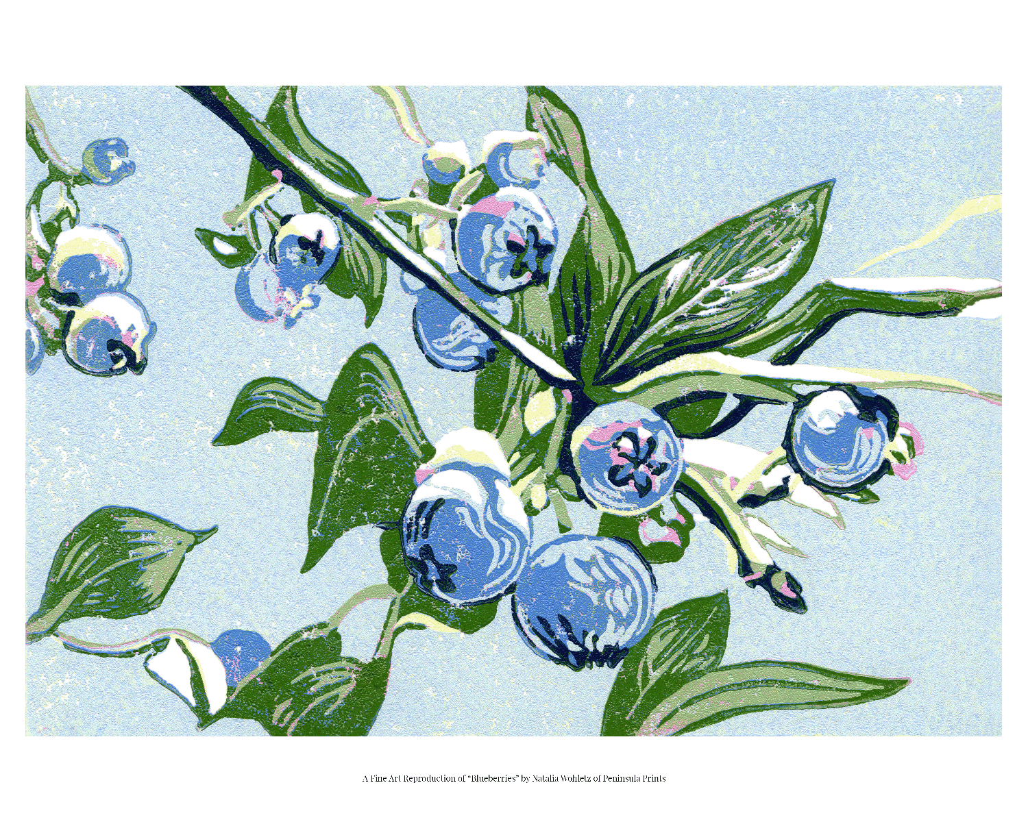 A fine art reproduction of "Blueberries," a miniature 4"x6" seven-color reduction block print of blueberries growing on a leafy blueberry bush branch. They look juicy and sweet, and ripe for the picking!