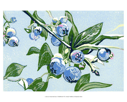 A fine art reproduction of "Blueberries," a miniature 4"x6" seven-color reduction block print of blueberries growing on a leafy blueberry bush branch. They look juicy and sweet, and ripe for the picking!