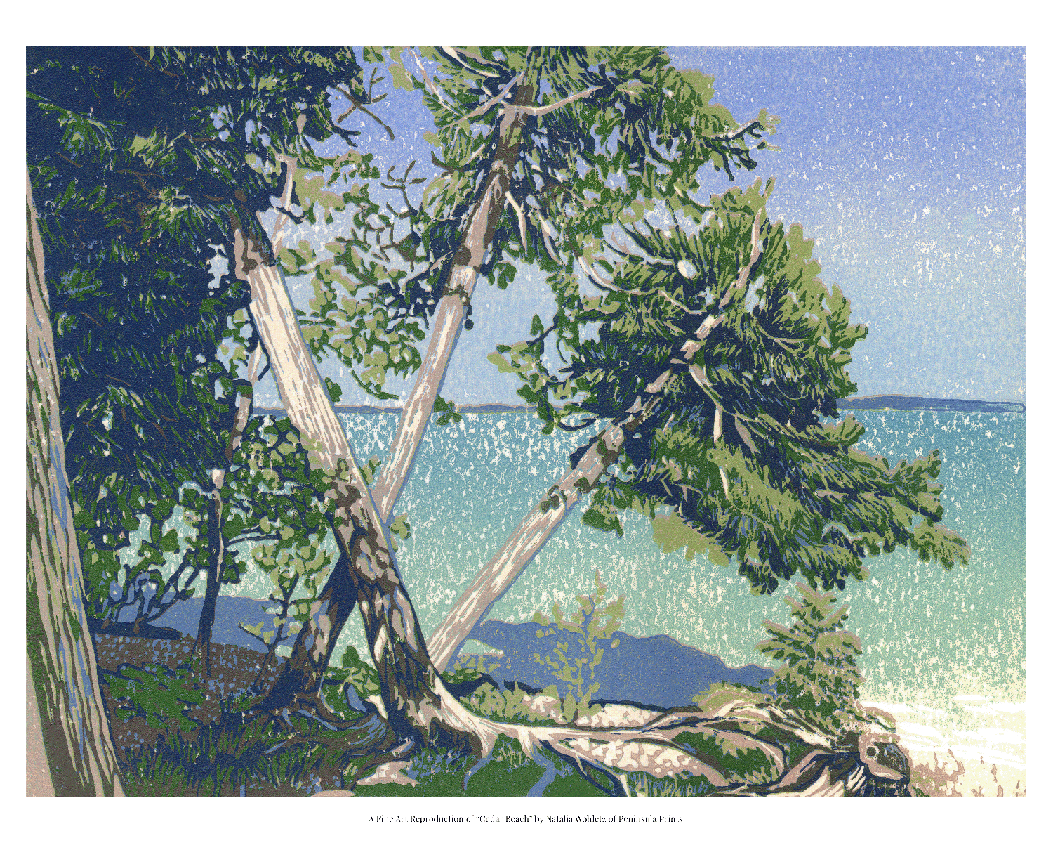 A fine art reproduction of "Cedar Beach," an award-winning nine-color 12" x 9" block print featuring a unique view of the lake through the Cedar trees growing in all directions along the lakeshore.