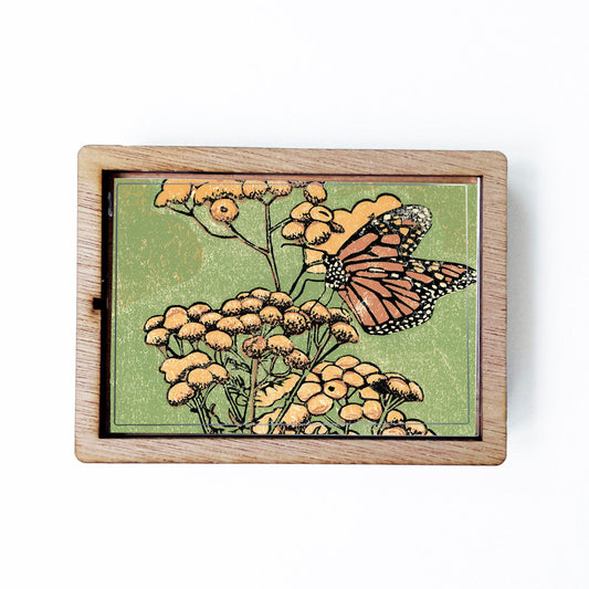 Monarch on Tansy Magnet