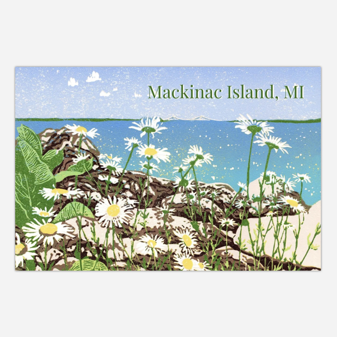 Postcard - Daisy Shore
