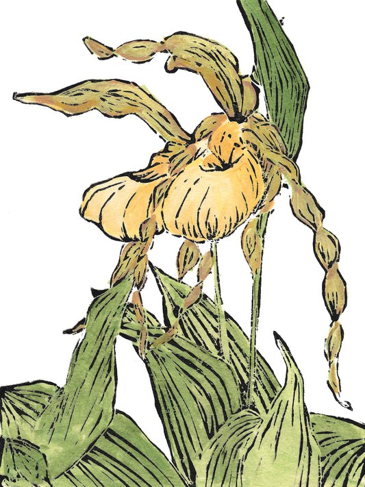 Lady's Slipper Pair #2 Original Block Print