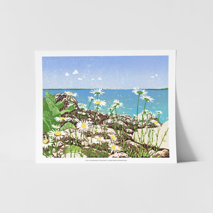 A fine art reproduction of "Daisy Shore," a 10" x 8" eight-color reduction block print of joyful daisies growing amongst limestone rocks on the Mackinac Island shore. Tucked back in the clear blue sky and turquoise water backdrop is the Mackinac Bridge.