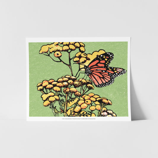 A fine art reproduction of "Monarch on Tansy," a four-color 8" x 6" block print featuring a monarch butterfly resting on common tansies. 