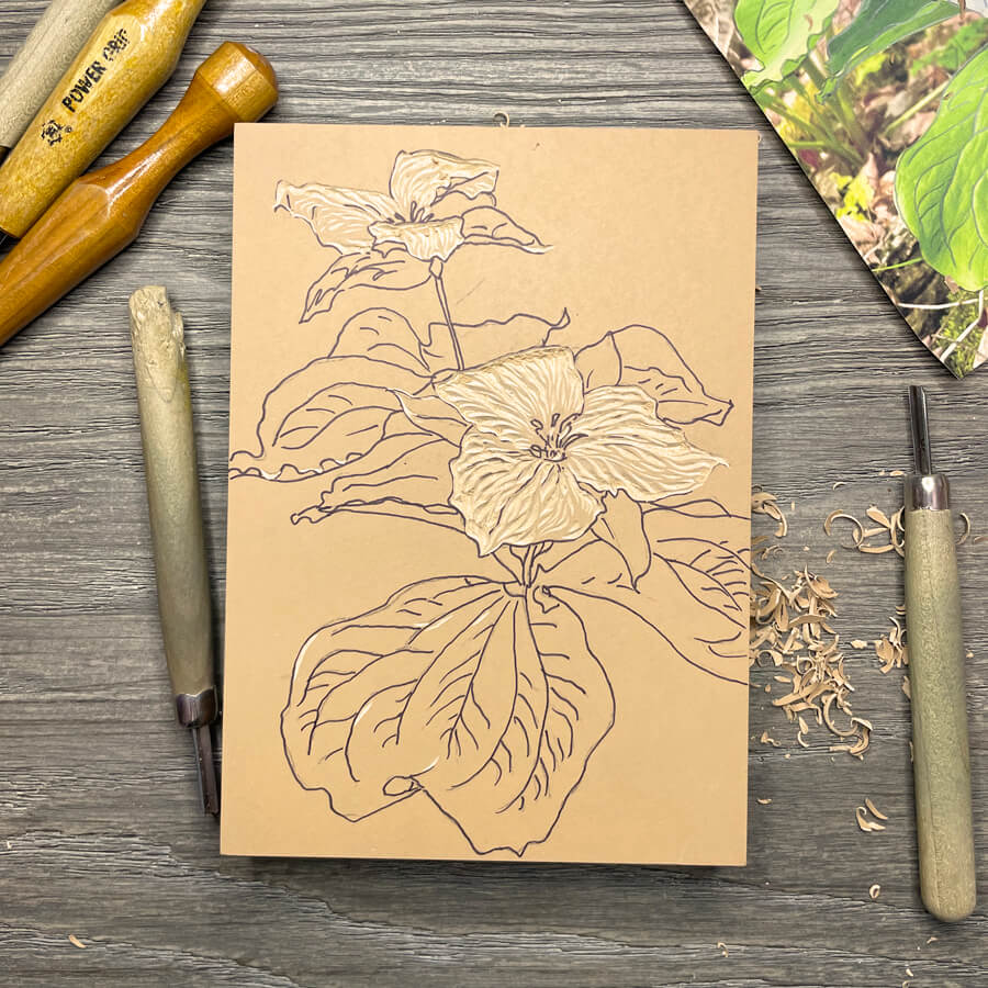Trillium Fine Art Print