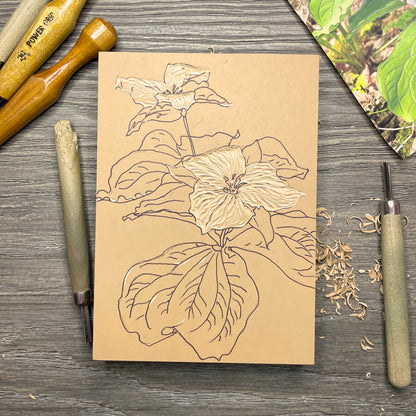 Trillium Fine Art Print