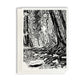 A casually elegant card featuring Mackinac Island art by Natalia Wohletz titled Brown's Brook.