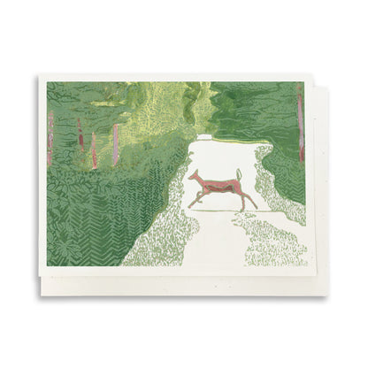 Assorted Wildlife (Woodland Critters) Greeting Card Boxed Set