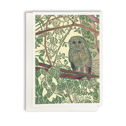 Assorted Wildlife (Woodland Critters) Greeting Card Boxed Set