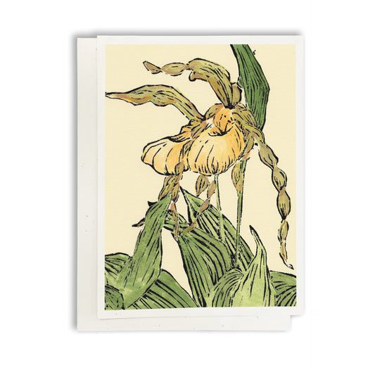 A casually elegant card featuring Michigan wildflowers art by Natalia Wohletz titled Lady's Slipper Pair #2.