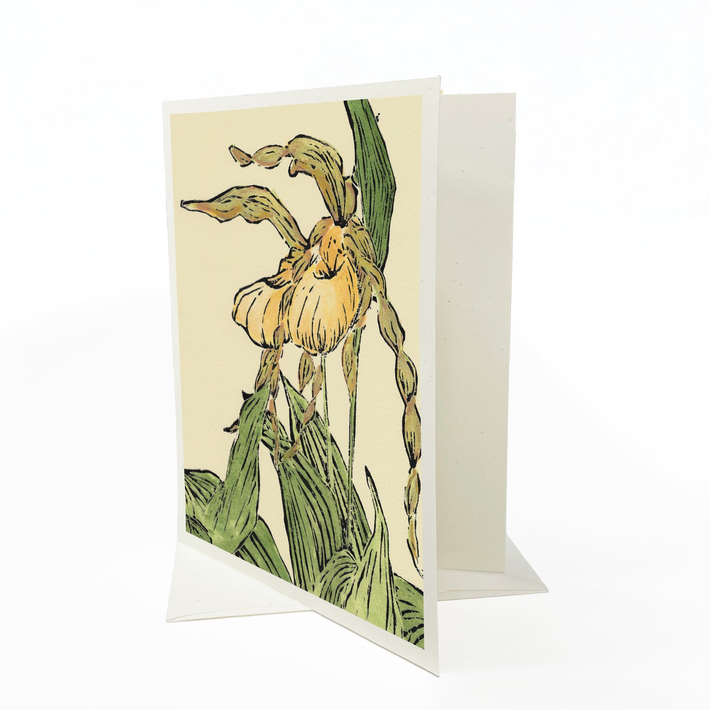 A casually elegant card featuring Michigan wildflowers art by Natalia Wohletz titled Lady's Slipper Pair #2.