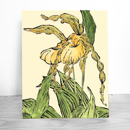 Mackinac wildflower art by Natalia Wohletz of Peninsula Prints titled Lady's Slipper Pair.