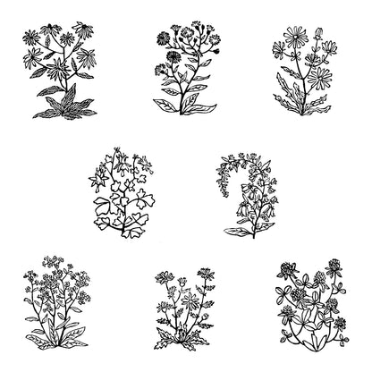 Michigan Wildflowers Original Block Print Series by Natalia Wohletz of Peninsula Prints, Mackinac Island.