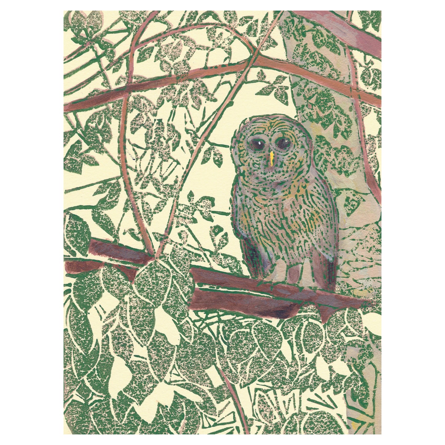 Owl art featuring a Barred Owl by printmaker Natalia Wohletz of Peninsula Prints, Mackinac Island, titled Hidden Owl.