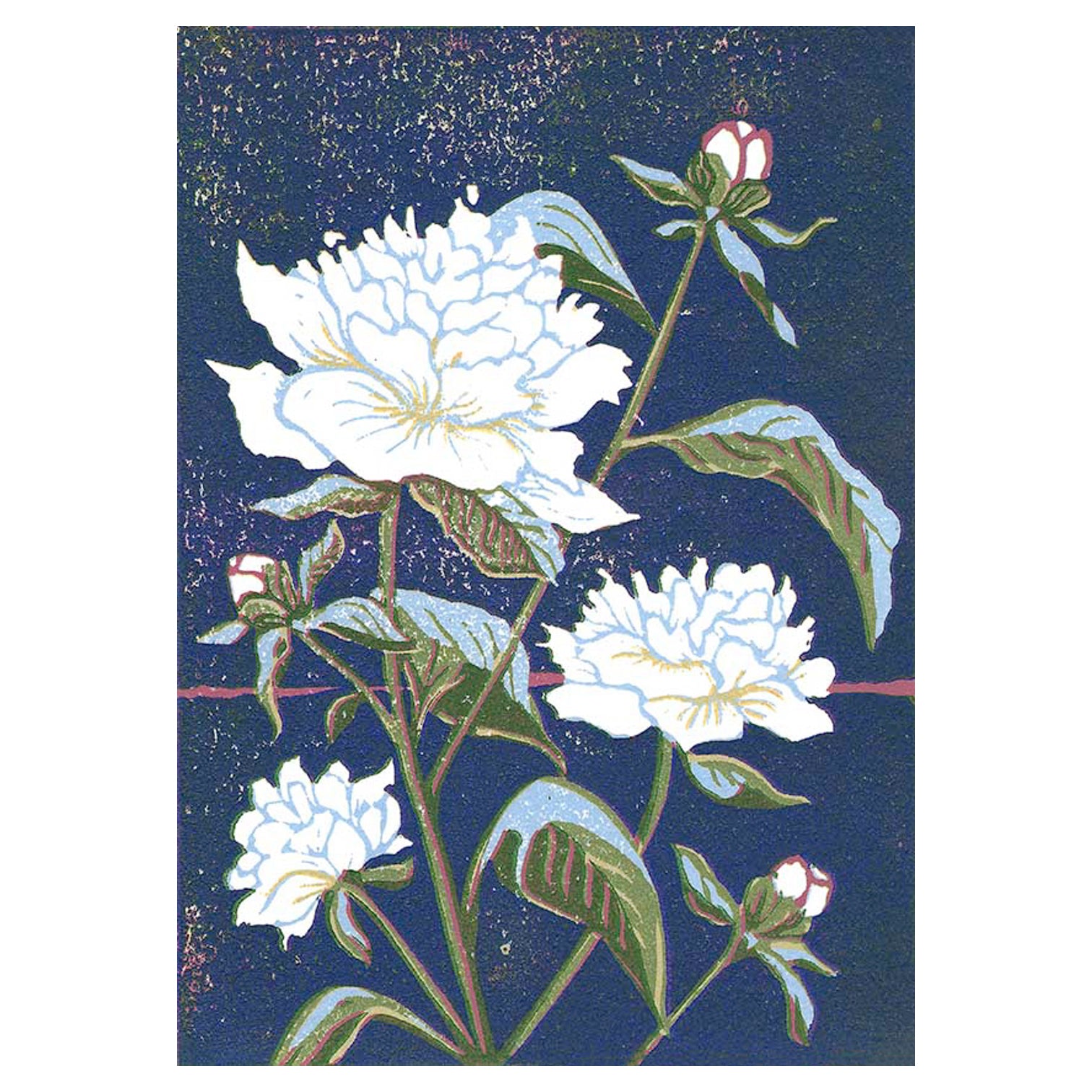Peony flower art by printmaker Natalia Wohletz of Peninsula Prints, Milford & Mackinac Island, Michigan, titled Peonies.