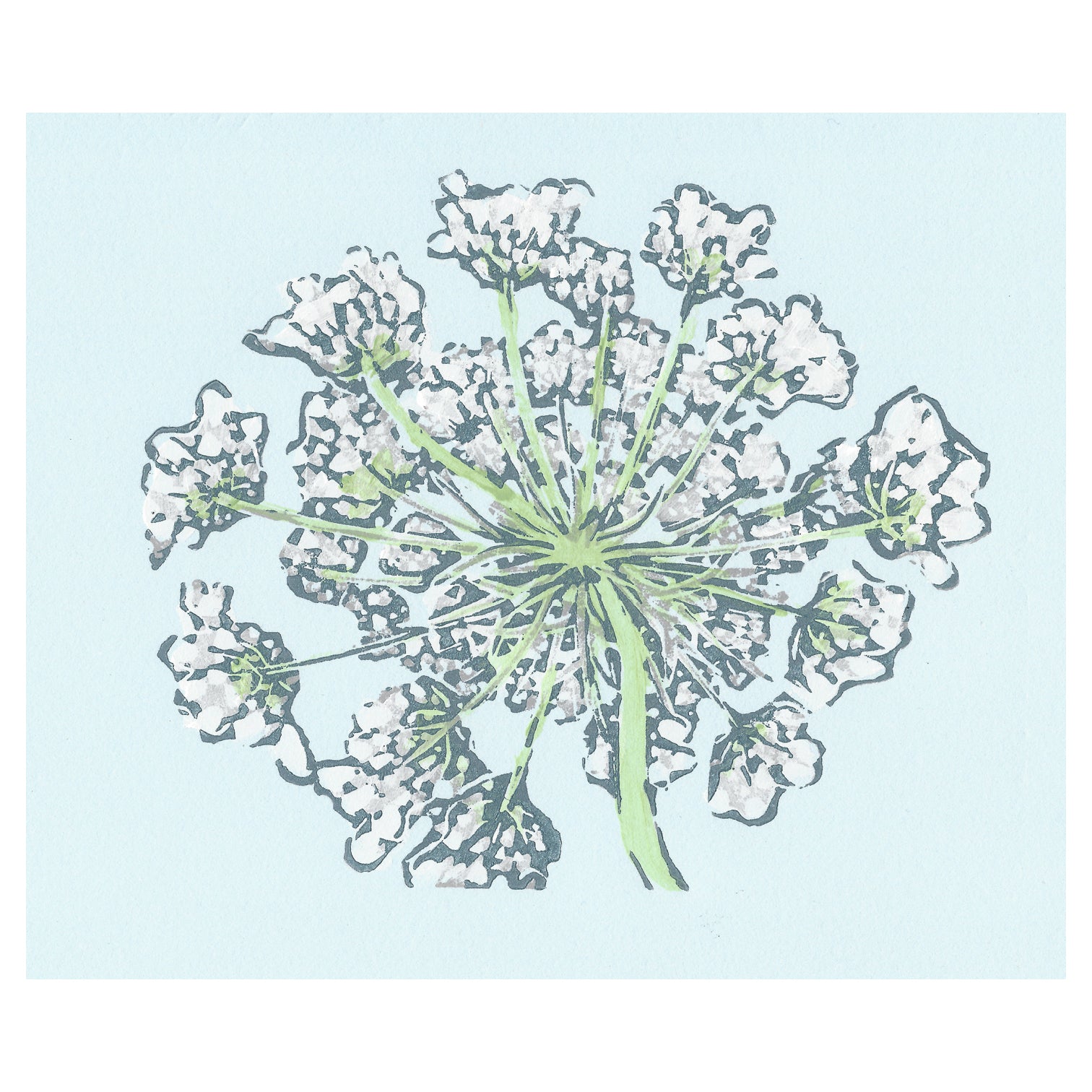 Wild Queen Anne’s Lace Art hot Design & wall hanging (10x8)